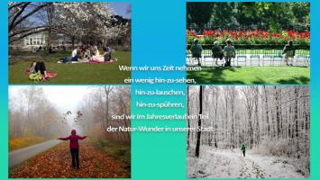 Georg Schiessler   Natur In Der Stadt